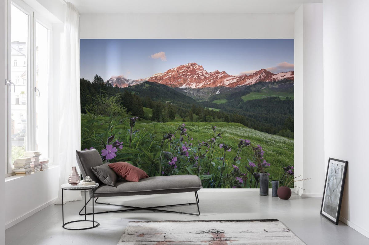 FOTOTAPETE Landschaft 450 x 280 cm - Grün, Papier (450/280cm) - Sanders & Sanders