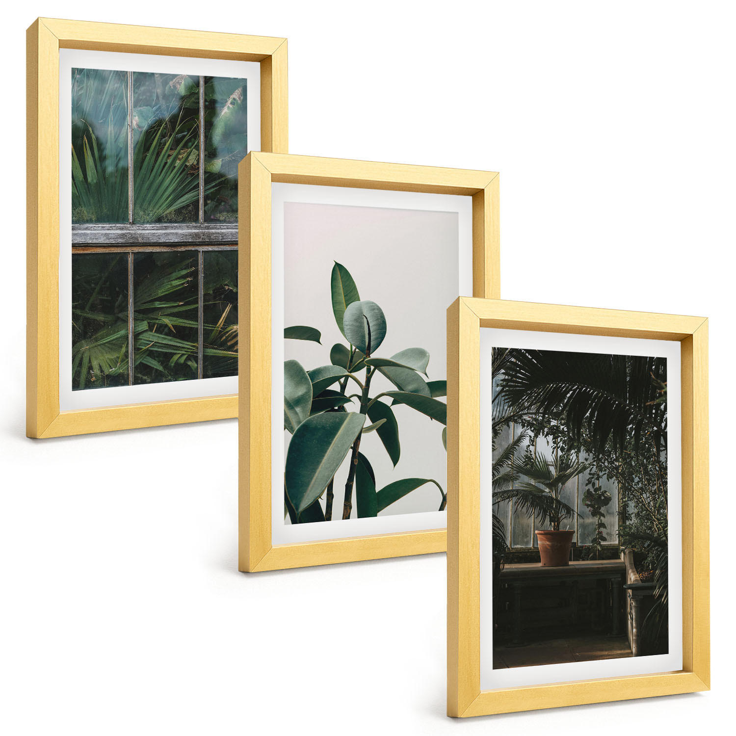 BILDER SET 3er Set - 20x30 cm Goldrahmen - Grüne Blätter an der Fensterpflanze - Goldfarben, Kunststoff (20/30cm) - TULUP