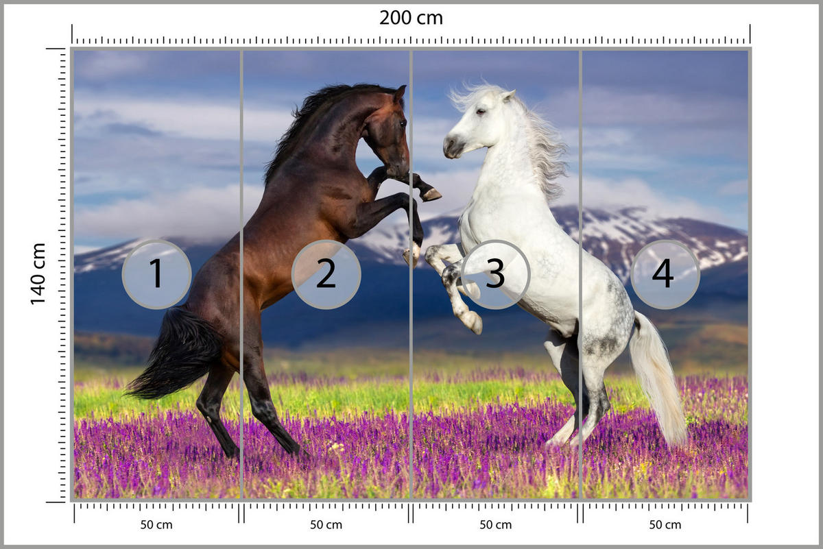 FOTOTAPETE für Esszimmer Pferde Lavendelfeld Berge Provence 200x140 - Beige/Violett, Papier (200/140cm) - Muralo