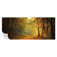FOTOTAPETE 250x104 cm - Herbstlandschaft - Gelb, Textil (250/104cm) - Wallfluent