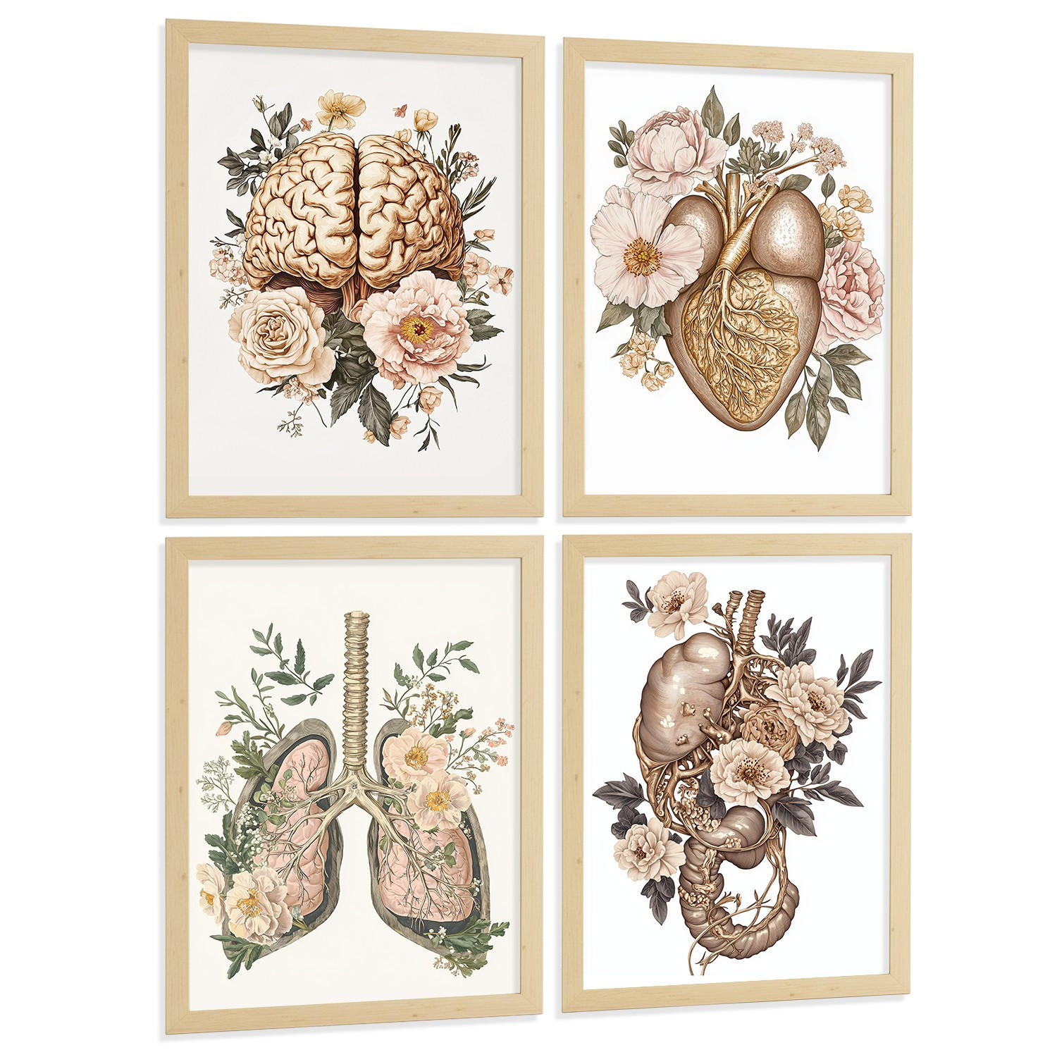 POSTER Set aus 4 Vintage Körper Anatomie Drucke mit Gehirn Herz Lungen Luftröhre Bronchien Nieren Verdauungssystem Magen Darm Größe Rahmenlos A3 - Klar, Papier (29.7/42/3cm) - Nacnic