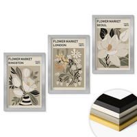 WANDBILDER 3er Set - 20x30 cm Silberner Rahmen - Retro-Blumen aus Städten rund um die Welt - Silberfarben, Kunststoff (20/30cm) - ArtPrintCave
