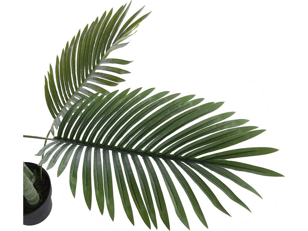 KUNSTPFLANZE - 80 cmcm x 80 cmcm - Plastik - Grün - COCONUT - Grün, Kunststoff (190cm) - Vente-Unique