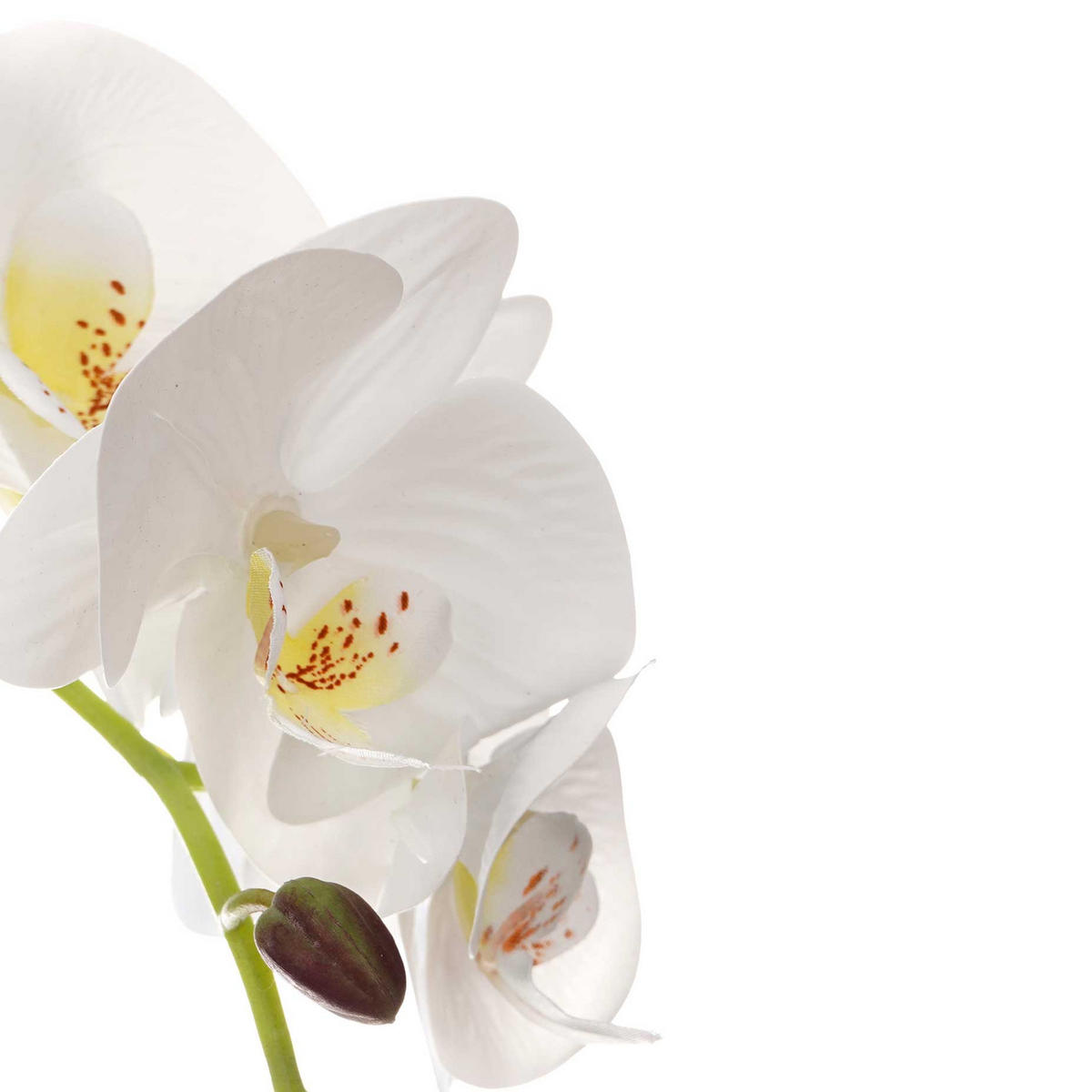 KÜNSTLICHE ORCHIDEE Zementtopf Orchi 56 cm - Multicolor, Kunststoff (56cm) - Ibergarden