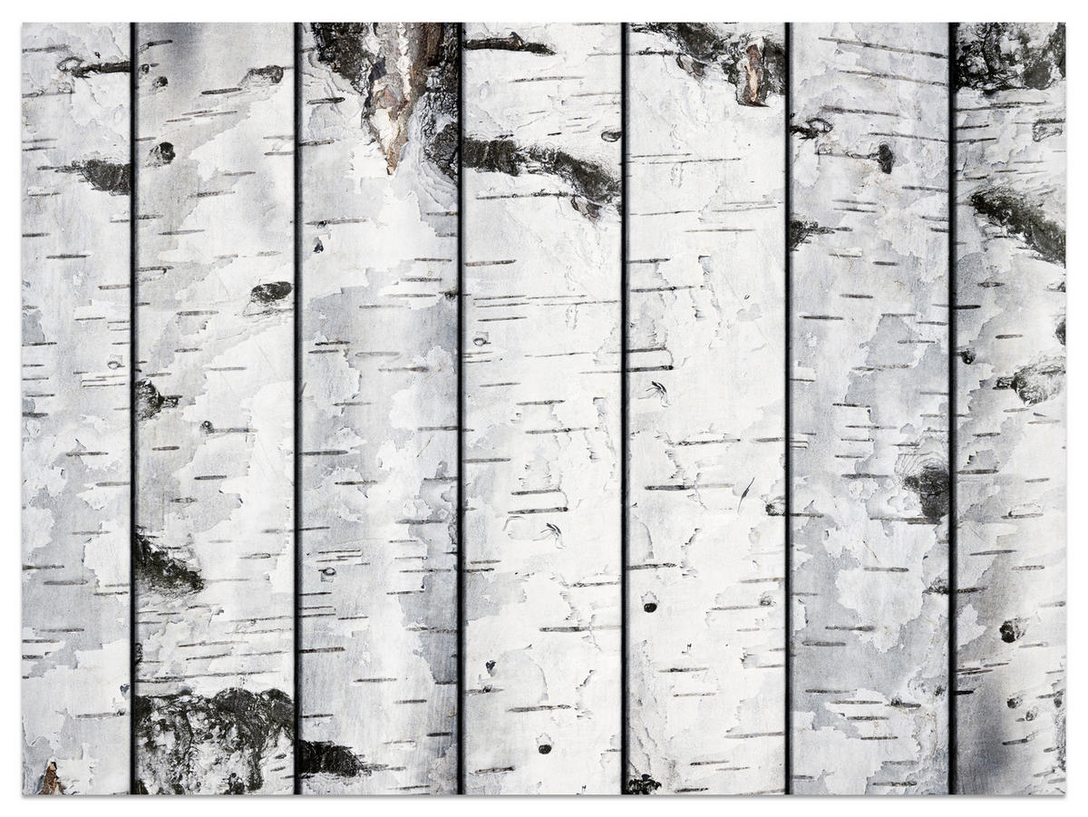 FOTOTAPETE für Schlafzimmer Birkenrinden Imitation Weiß Baum 300x210 - Schwarz/Weiß, Papier (300/210cm) - Muralo