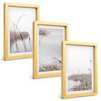 BILDER SET 3er Set - 20x30 cm Goldrahmen - Wasserpflanzen im Sommer - Goldfarben, Kunststoff (20/30cm) - TULUP