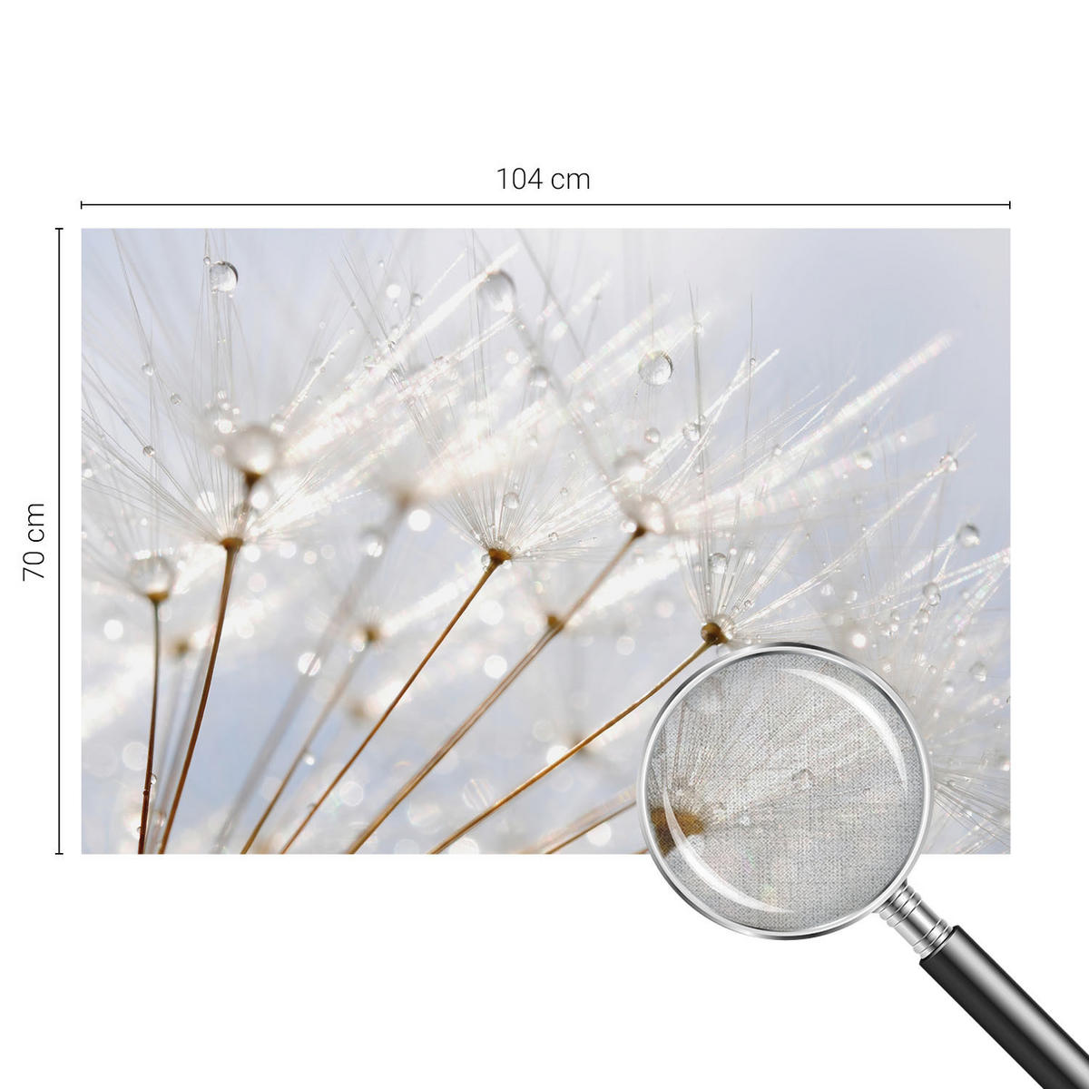 FOTOTAPETE 104x70 cm - Rosafarbener Löwenzahn - Weiß, Textil (104/70cm) - Wallfluent