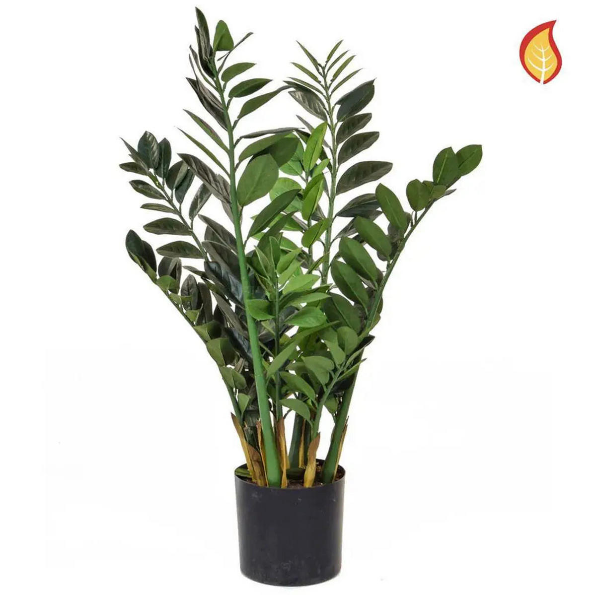 KUNSTPFLANZE Künstliche Zamioculcas - Falk 90 cm - Grün, Kunststoff (90cm) - aplanta