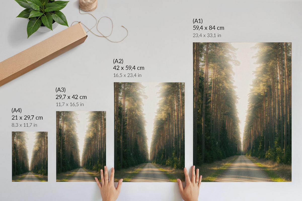 POSTER - 29x42 cm - Nevara - Waldweg - Grün, Textil (29/42/0.1cm) - TULUP