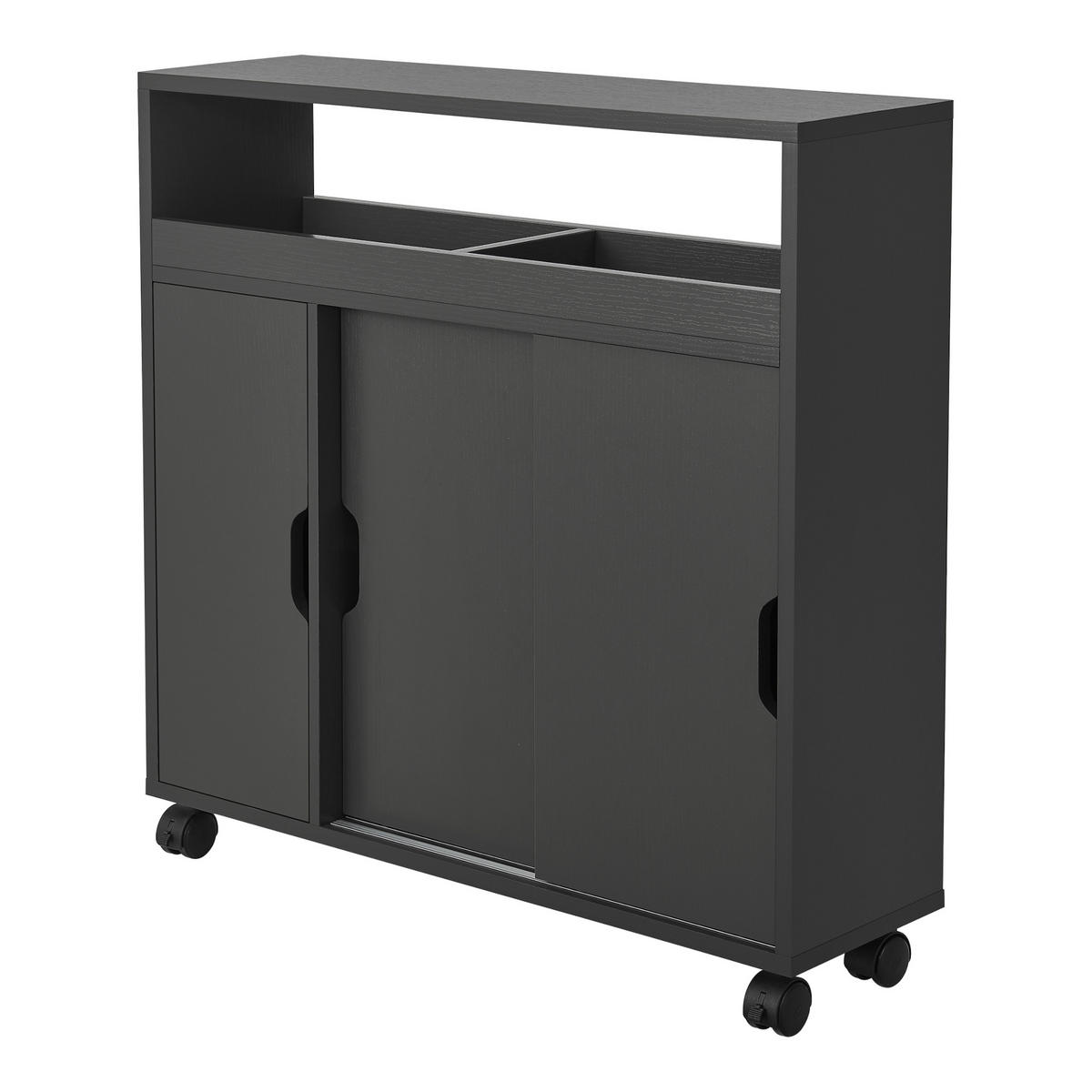 SEITENSCHRANK Lumijoki - Dunkelgrau, Holzwerkstoff (70/71/20cm) - [en.casa]