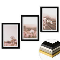 WANDBILDER 3er-Set - 20x30 cm Schwarzer Rahmen - Sommerlandschaften mit Wildblumenwiesen - Schwarz, Kunststoff (20/30cm) - ArtPrintCave