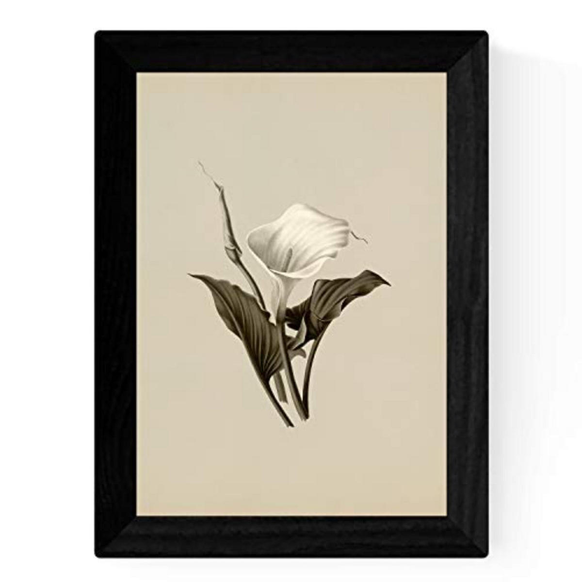 POSTER Set mit 4 Botanische Jahrgang Hintergrund helle Blumen A3 Rahmenlos - Klar, Papier (29.7/3cm) - Nacnic