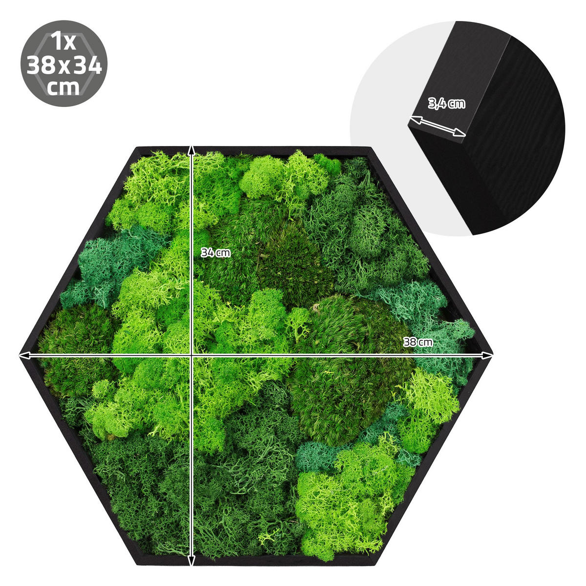 MOOSBILD Rund Ø 40 cm Mooswand Indoor mit echtem echtem Kugelmoos-Islandmoos-Flachmoos-Mix und Holzrahmen Grün - Waldgrün, Naturmaterialien (40/40/3cm) - ECD-Germany