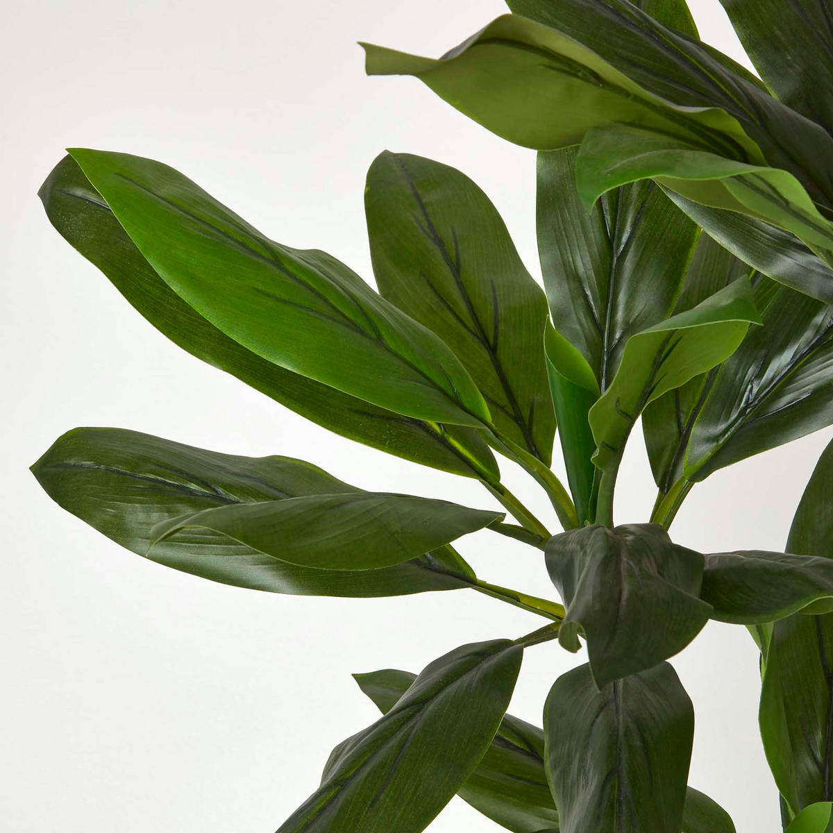 KUNSTPFLANZE Keulenlilie grün, 100 cm - Grün, Kunststoff (100cm) - Homescapes