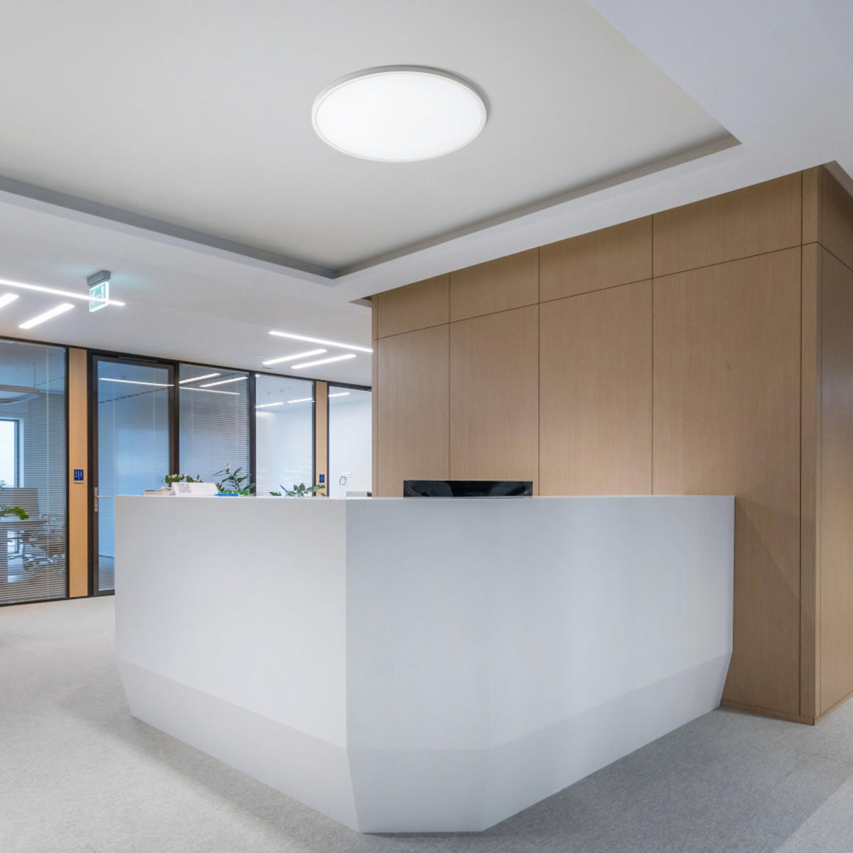 AUFBAULEUCHTE LANA 60 Dekor Buche/Kunststoff 50 W - Buchefarben, Holz (60/60/2.5cm)