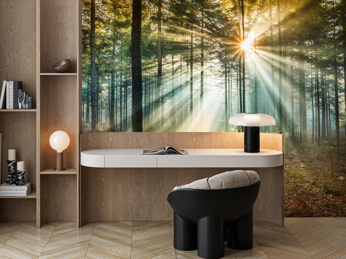 FOTOTAPETE für Wohnzimmer Herbstwald Sonnenuntergang Bäume Natur 500x350 - Beige/Gelb, Papier (500/350cm) - Muralo