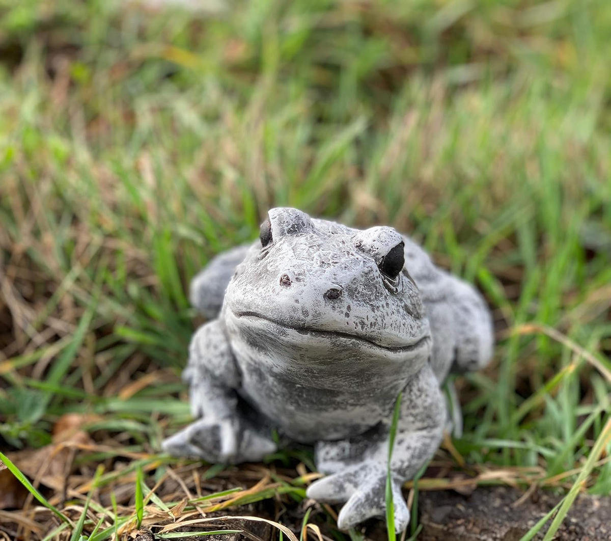 STEINFIGUR Frosch naturgetreu frostfest Steinguss - Grau, Stein (14/13/23cm) - stoneandstyle