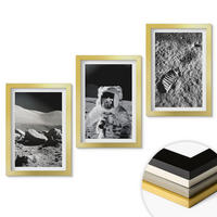 WANDBILDER 3er Set - 20x30 cm Goldrahmen - NASA-Fotos vom Mond Astronaut - Goldfarben, Kunststoff (20/30cm) - ArtPrintCave