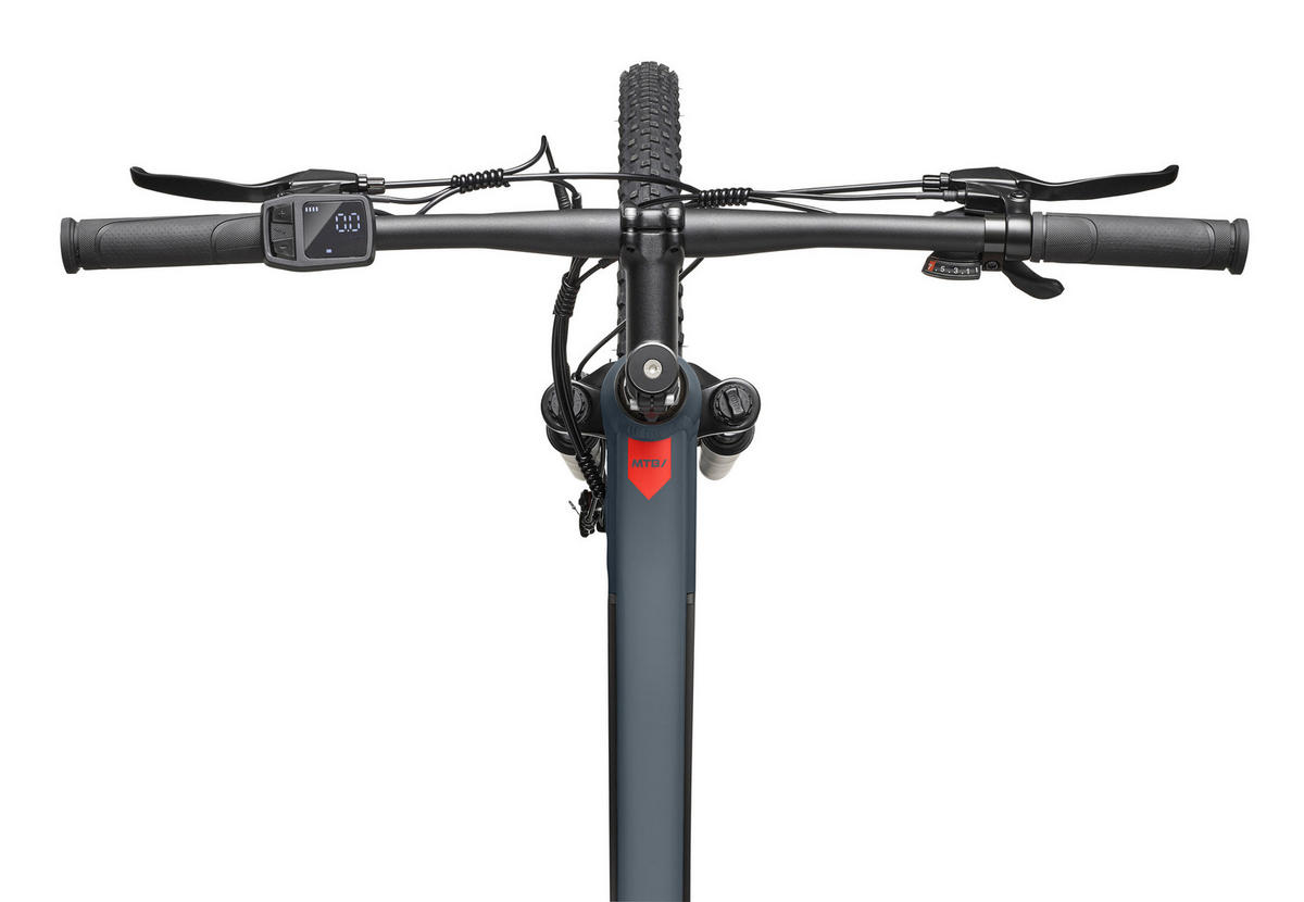 E-BIKE Mountainbike Aufsteiger M921 Für Damen u. Herren 468 Wh Heckmotor 7-Gang-Kettenschaltung 29 Zoll - Grau, Metall (114.6cm) - Telefunken