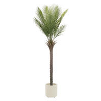 KUNSTPFLANZE Palme - Anthrazit/Grün, Holz/Kunststoff (180cm) - ML-DESIGN