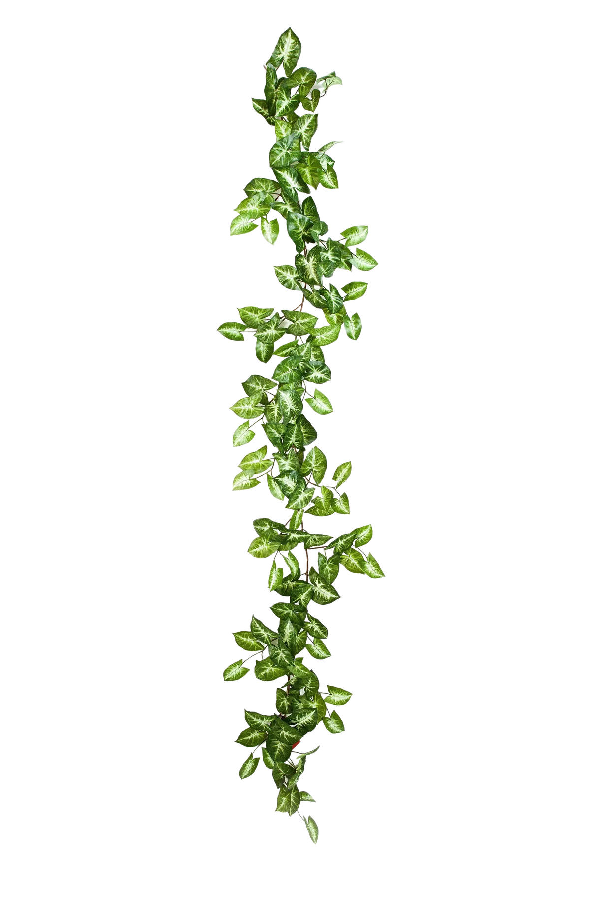 NEPHTHYTIS Künstliche Nephthytis Girlande - Annabell 180 cm - Grün, Kunststoff (180cm) - aplanta