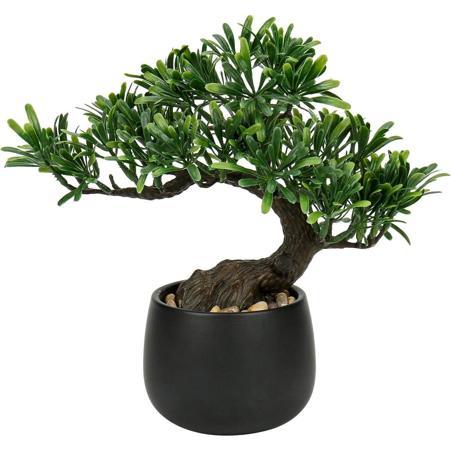 KUNSTPFLANZE Bonsai 25 cm im Keramiktopf Schwarz - Schwarz, Keramik (27cm)