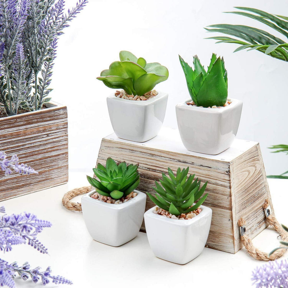KUNSTPFLANZEN-SET Mini Sukkulenten im Keramiktopf 4-teilig - Multicolor, Keramik (4cm)