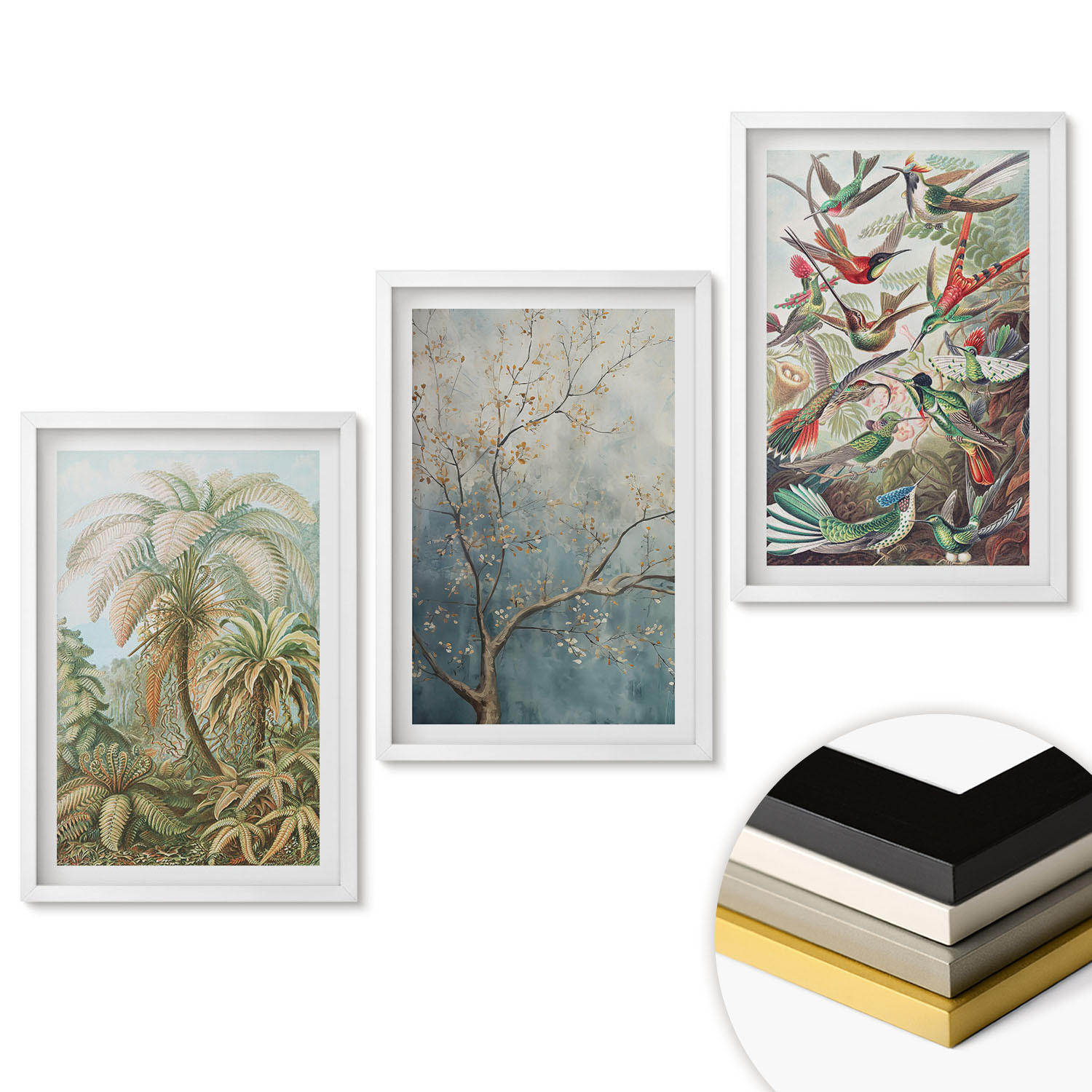 WANDBILDER 3er-Set - 40x60 cm Weißer Rahmen - Tropische Pflanzen, Vögel, Natur - Weiß, Kunststoff (40/60cm) - ArtPrintCave