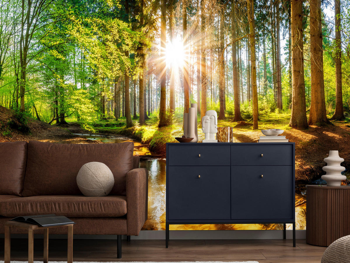 FOTOTAPETE für Wohnzimmer Pflanzen Natur Gras Sonniger Wald Bäume 400x280 - Multicolor, Papier (400/280cm) - Muralo