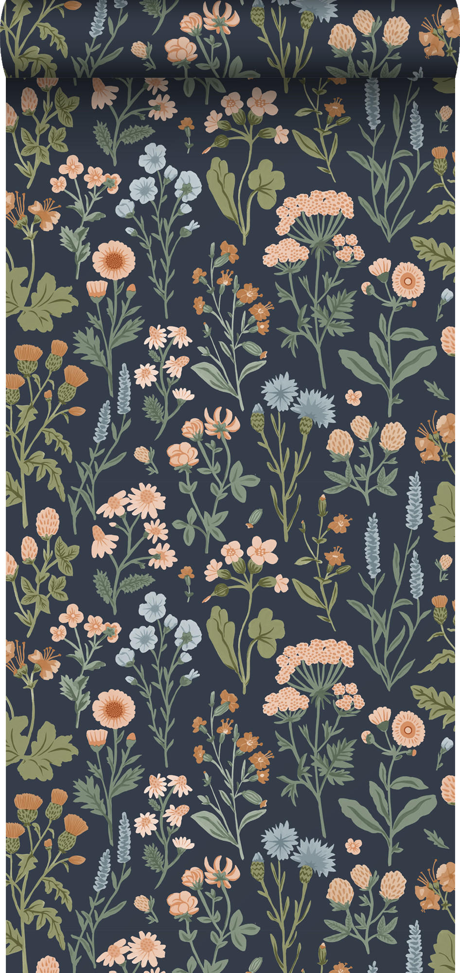 TAPETE Feldblumen 50 x 900 cm - Blau, Papier (50/900cm) - Sanders & Sanders