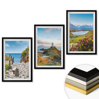 WANDBILDER 3er-Set - 40x60 cm Schwarzer Rahmen - Strand, Leuchtturm, Berge, Blumen - Schwarz, Kunststoff (40/60cm) - ArtPrintCave