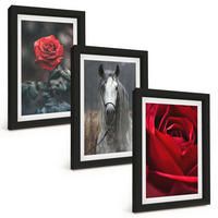 BILDER SET 3er Set - 20x30 cm Schwarzer Rahmen - Rote Rosen, Pferdegrau, Welt - Schwarz, Kunststoff (20/30cm) - TULUP