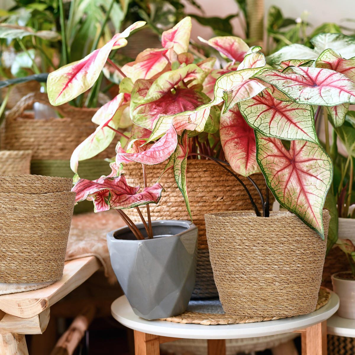 3XSEEGRAS-BLUMENTOPF - Hellbraun, Kunststoff/Textil (20cm) - Relaxdays