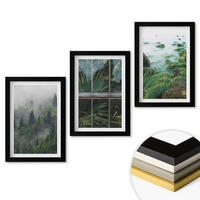 WANDBILDER 3er-Set - 20x30 cm Schwarzer Rahmen - Waldnebel, Flussufer, Gewächshaus - Schwarz, Kunststoff (20/30cm) - ArtPrintCave