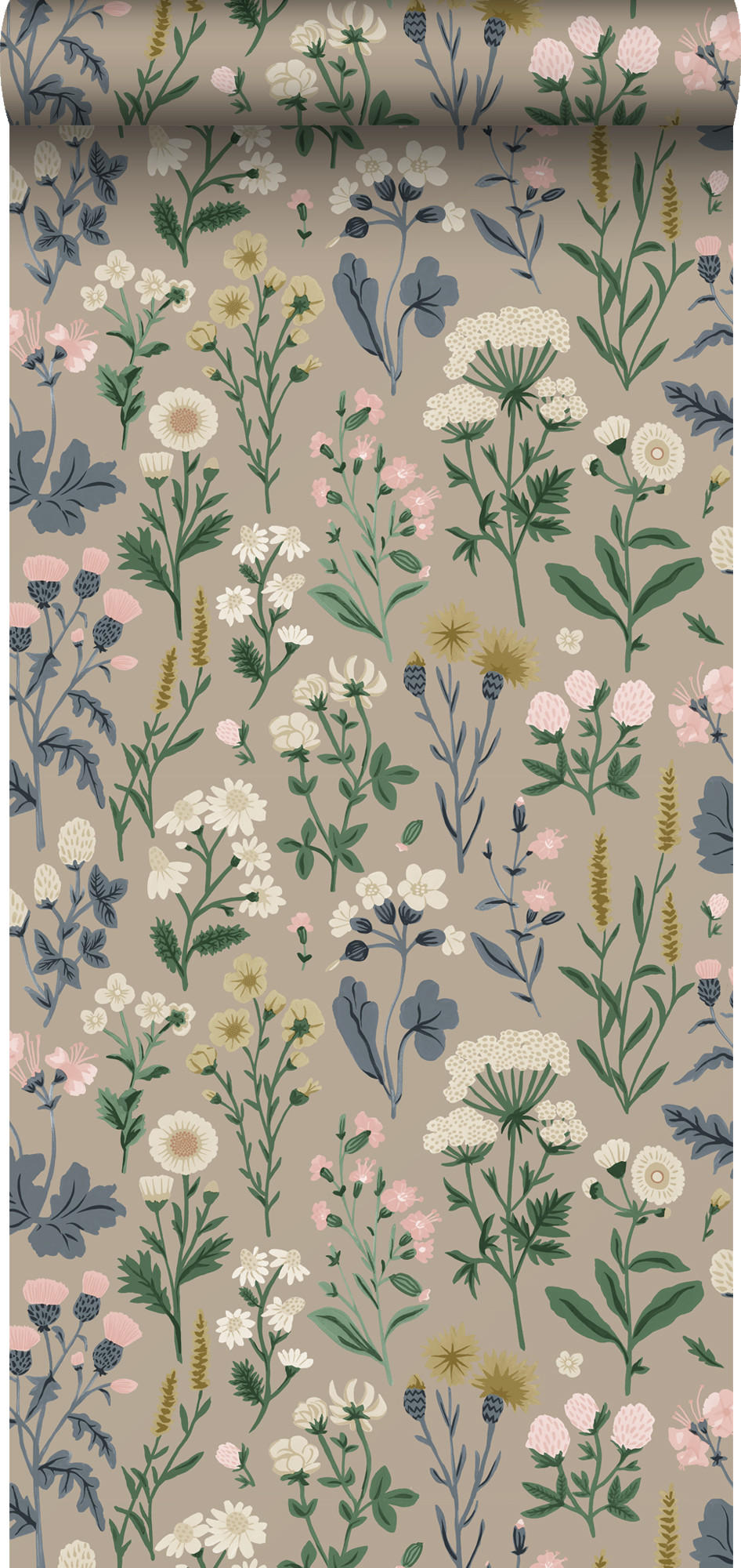 TAPETE Feldblumen 50 x 900 cm - Blau, Papier (50/900cm) - Sanders & Sanders