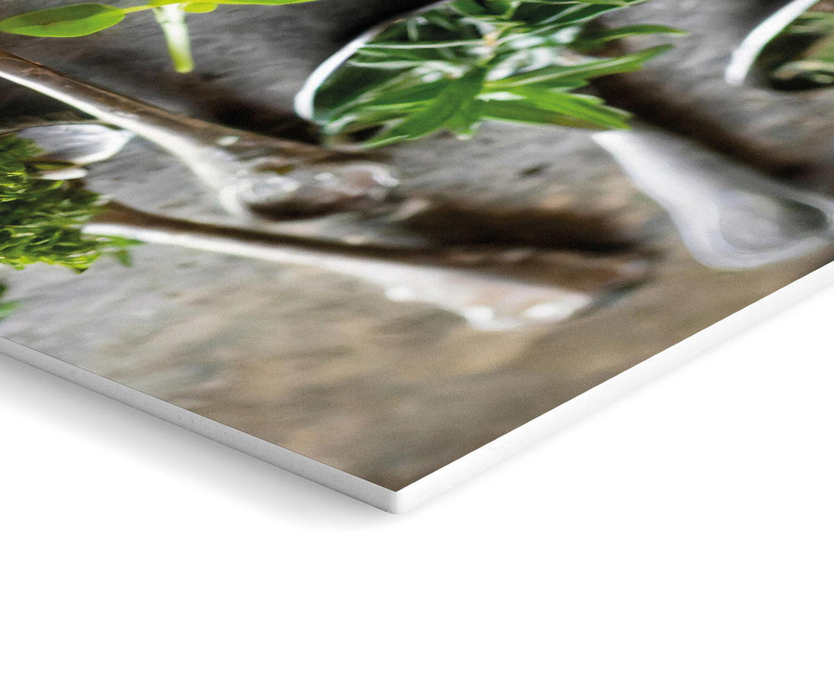 BILDERSET 3er-Set 30x40 cm Küchenmotive - Grün, Kunststoff (30/40cm) - artissimo