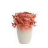 VASE Fisch Rot 29/28/36,5 cm - Rot, Keramik (36.5cm) - Light & Living