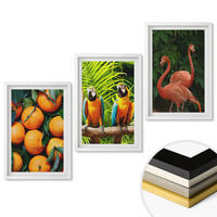 WANDBILDER 3er-Set - 40x60 cm Weißer Rahmen - Fruchtige Akzente in den Tropen - Weiß, Kunststoff (40/60cm) - ArtPrintCave