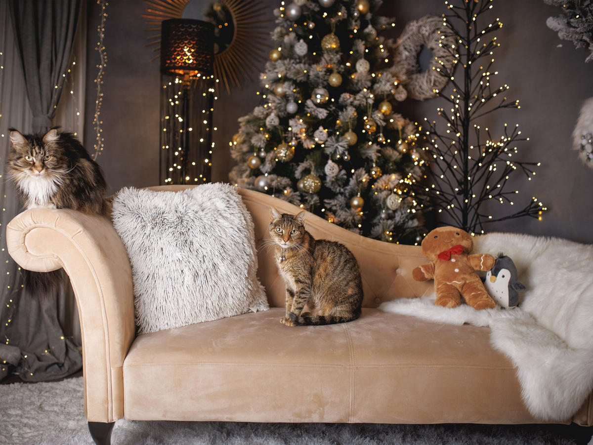 ČALOUNĚNÉ LEHÁTKO CHAISE LONGUE Sametová látka béžové pravostranné Lattes - béžová, textil (188/87/59cm) - Beliani