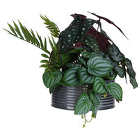 KUNSTPFLANZE 39/29/34 cm - Grün, Kunststoff (34cm) - Home Styling Collection