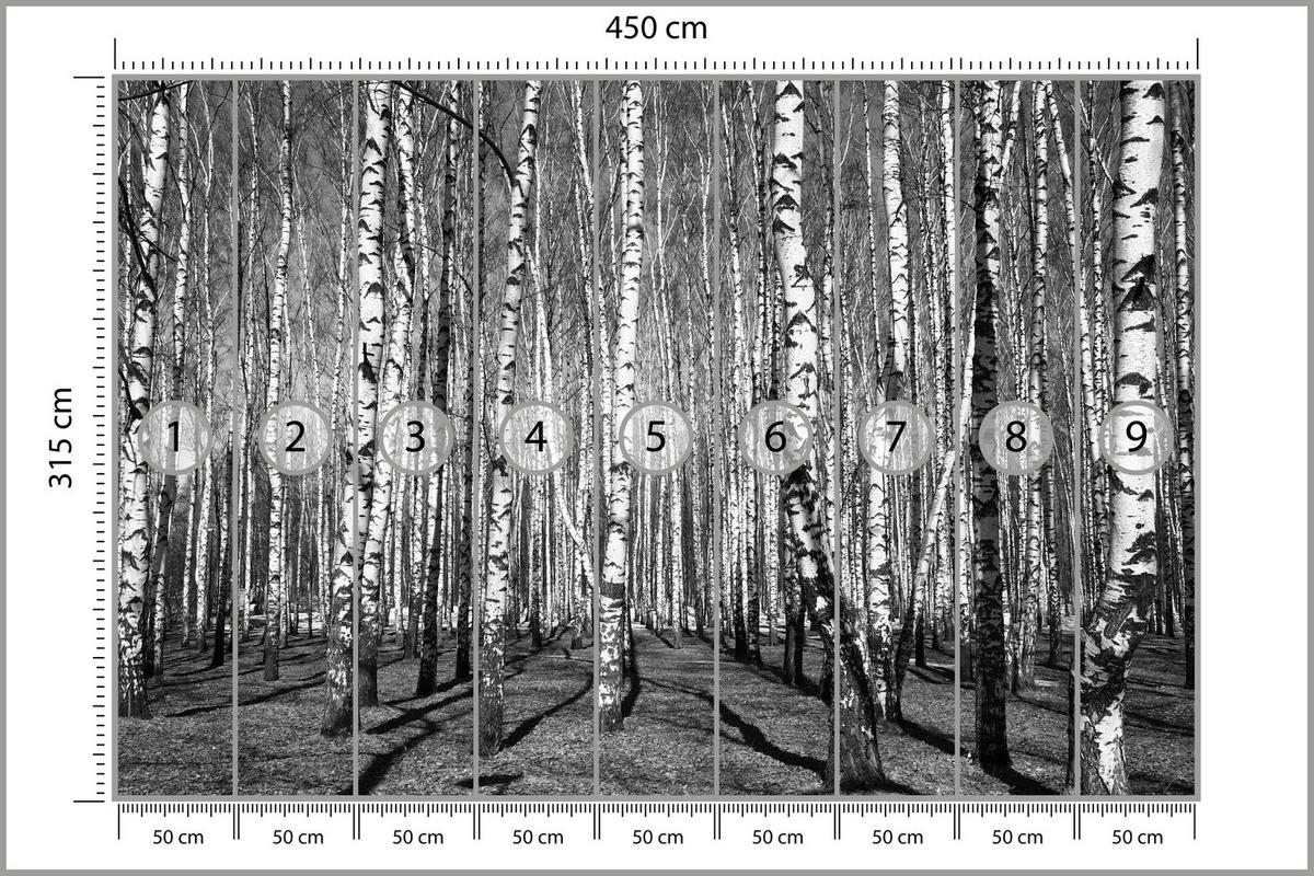 FOTOTAPETE für Wohnzimmer Birkenwald Schwarz-Weiß Minimalistisch 450x315 - Schwarz/Weiß, Papier (450/315cm) - Muralo