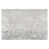 FOTOTAPETE Shabby Betonoptik 336/225 cm - Grau, Papier (336/225cm) - Bilderwelten