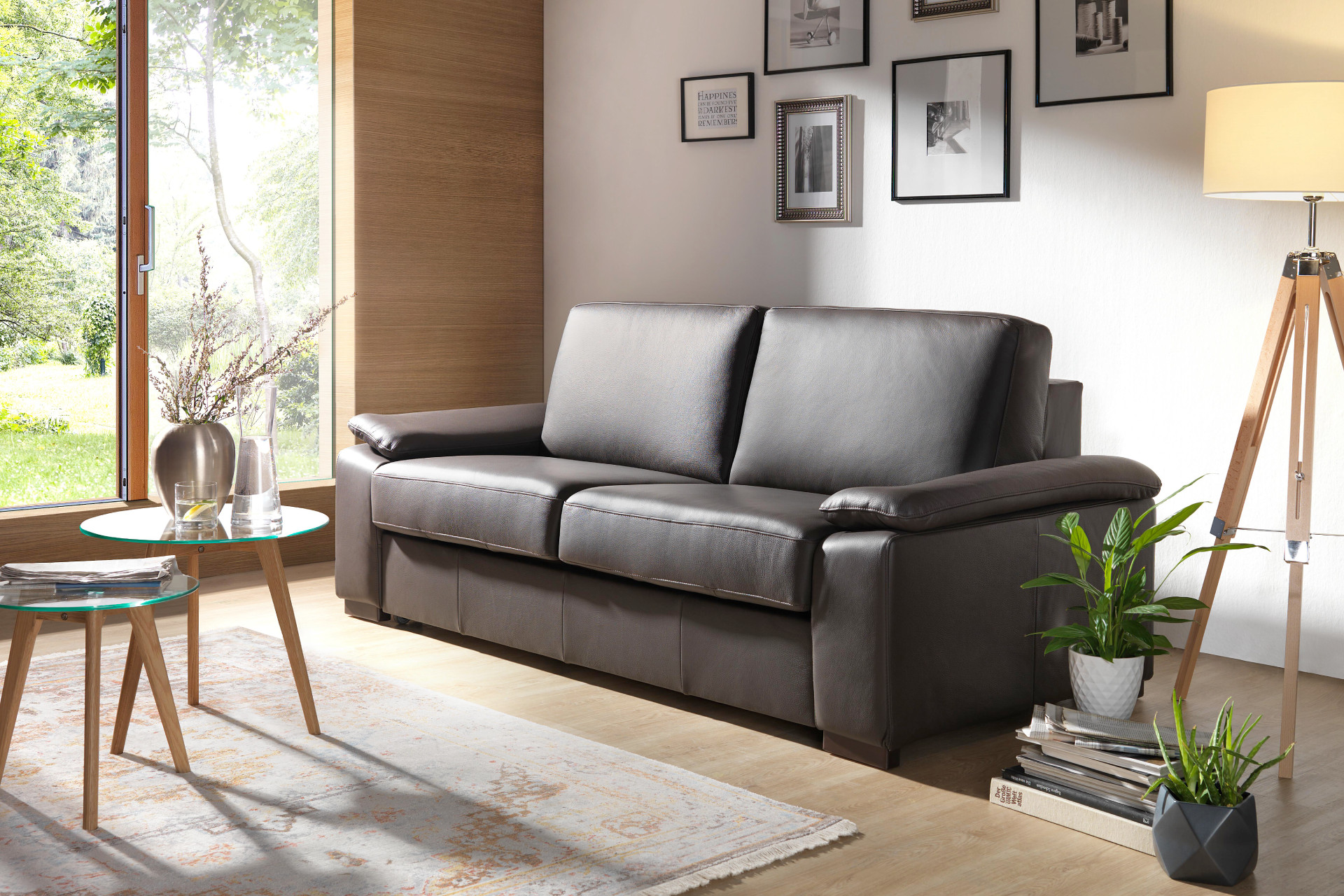 Schlafsofa aus Leder