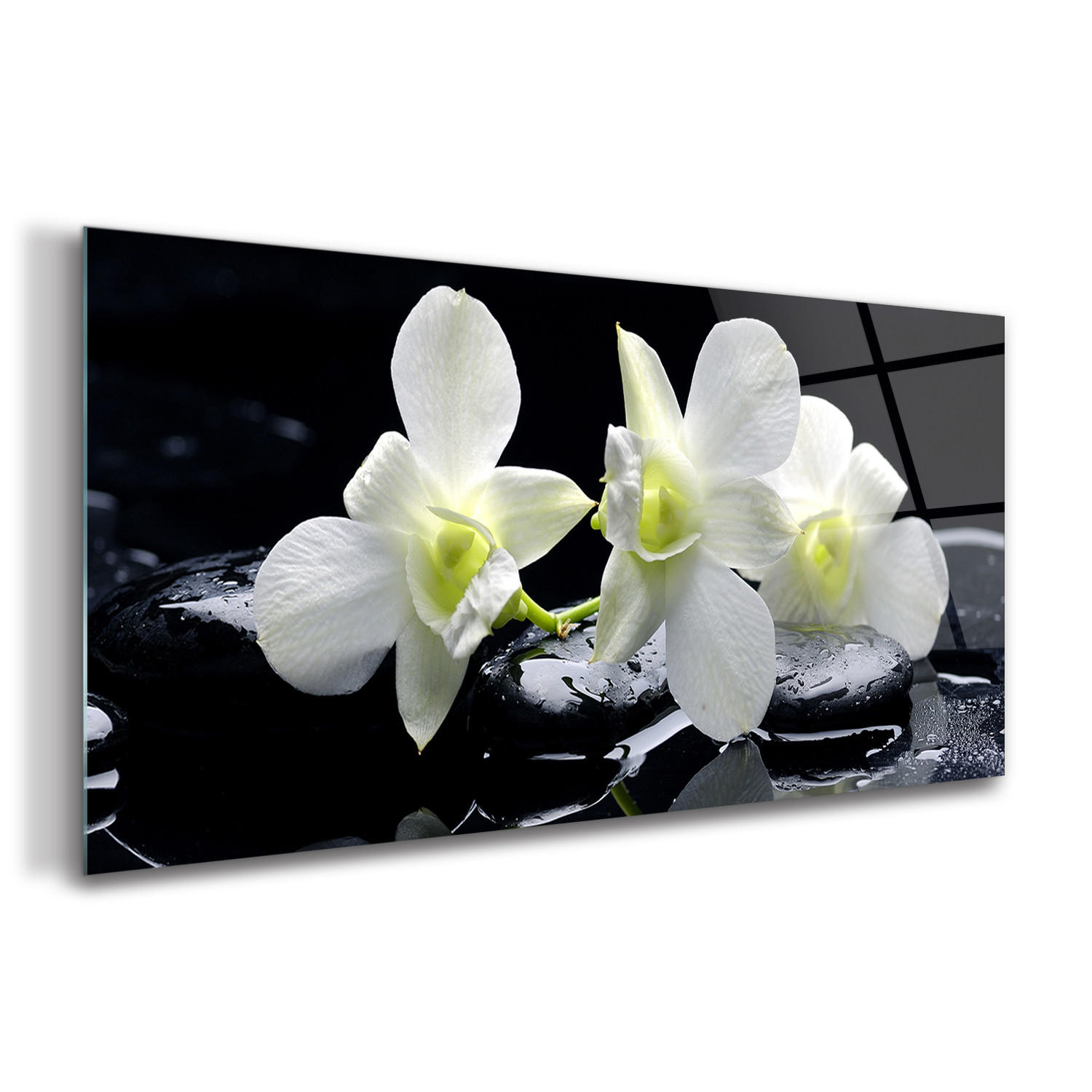 GLASBILD 120x60 cm Orchideenblüte - Schwarz/Hellgrün, Glas (120/60cm) - TULUP