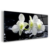 GLASBILD 120x60 cm Orchideenblüte - Schwarz/Hellgrün, Glas (120/60cm) - TULUP
