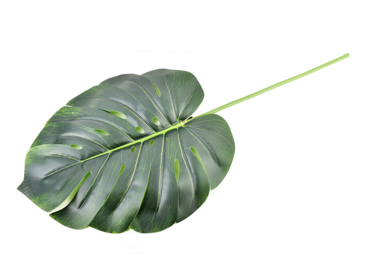 KUNSTBLUME Viridiis Grün 77/36/1 cm Kunstoff - Grün, Kunststoff (1cm) - Mondex