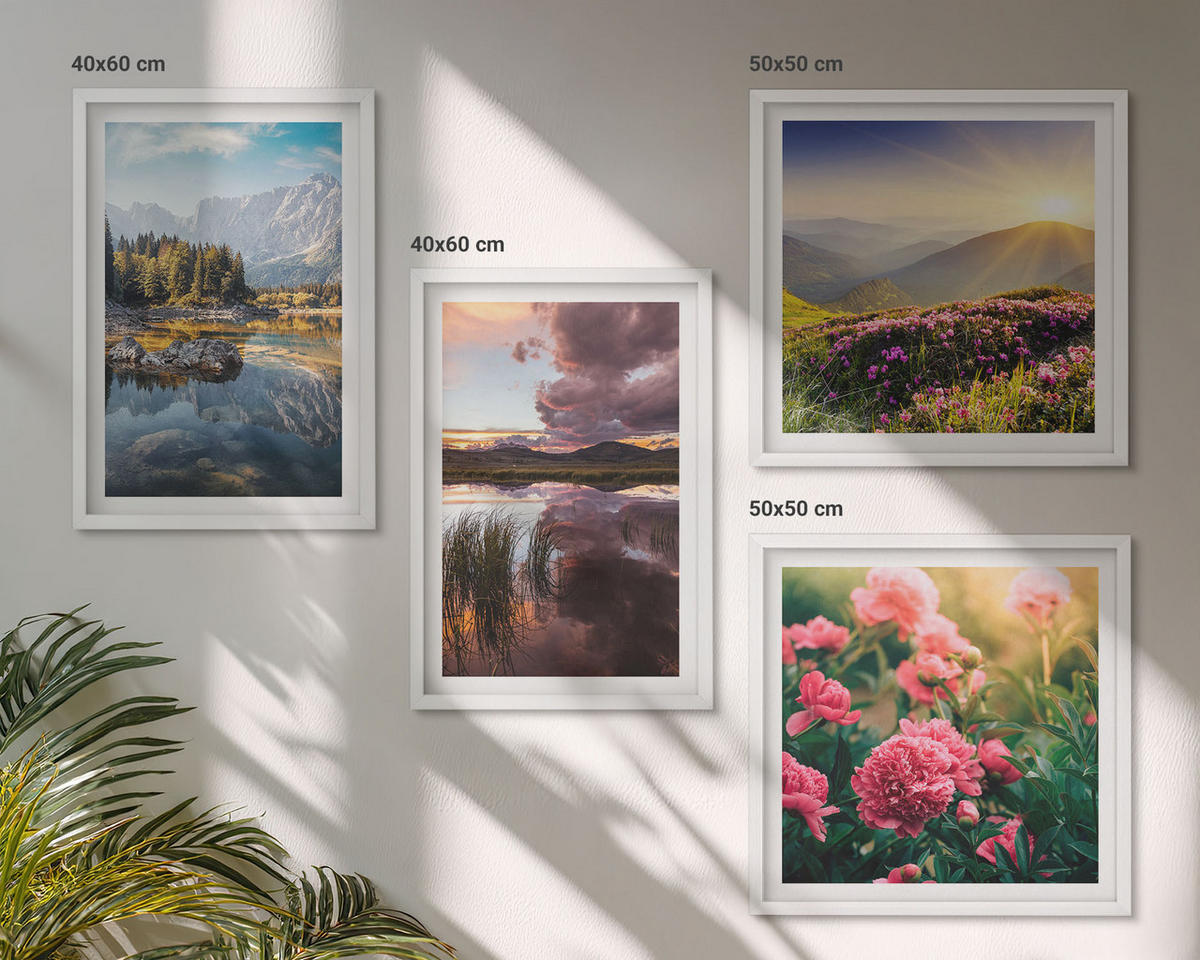WANDBILDER 4er-Set - 50x50 cm & 40x60 cm Weißer Rahmen - Blumengarten, Bergwiese, Wasser - Weiß, Kunststoff (50/50cm) - ArtPrintCave