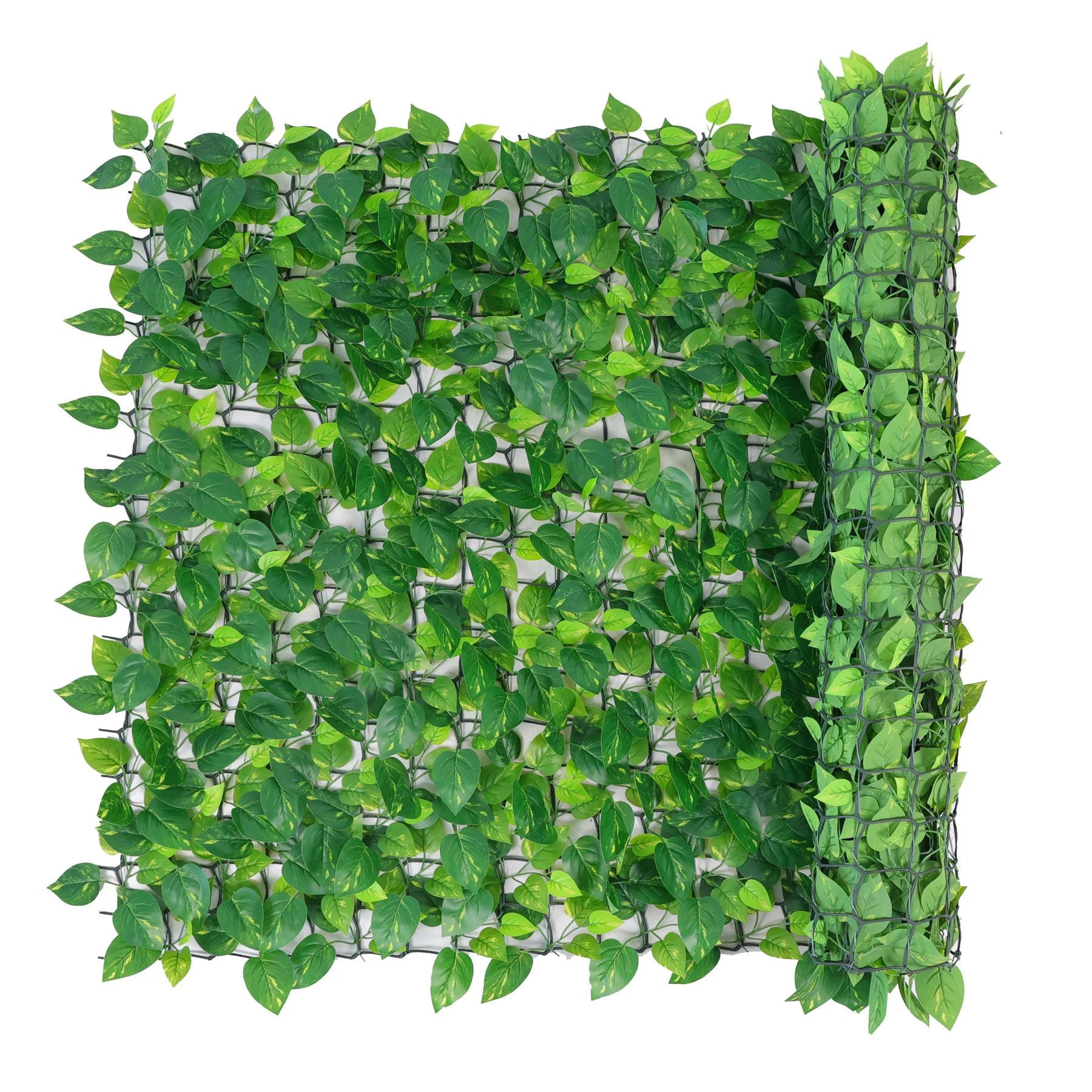 KUNSTPFLANZE Künstlicher immergrüner Sichtschutz Pothos - Brutus 300 cm - Grün, Kunststoff (100cm) - aplanta