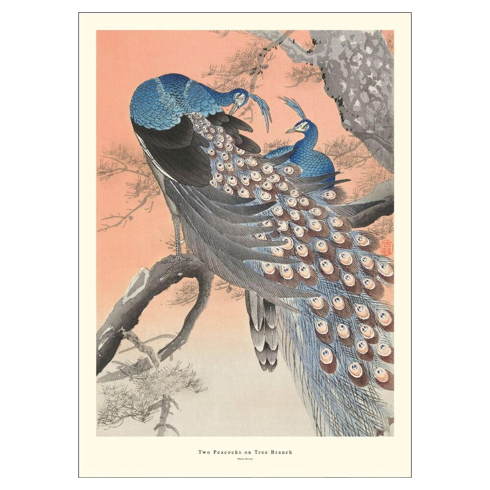 POSTER A.P. Atelier - Two Peacocks on Tree Branch - Multicolor, Papier (30/40/0.1cm) - Poster&Frame