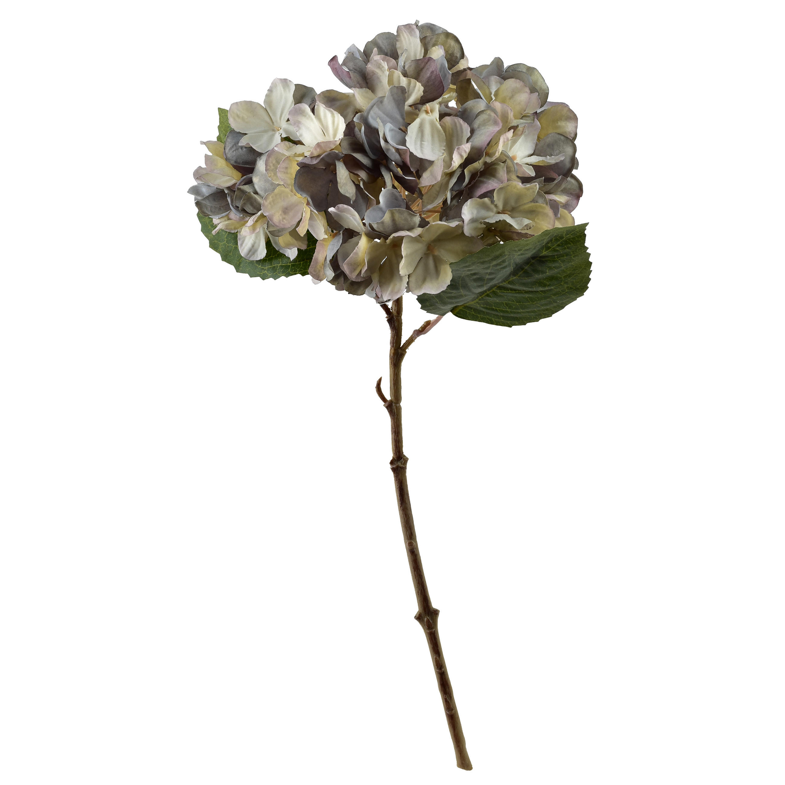UMELÁ HORTENZIA Viridis 35 cm - zelená, plast (35cm) - Mondex